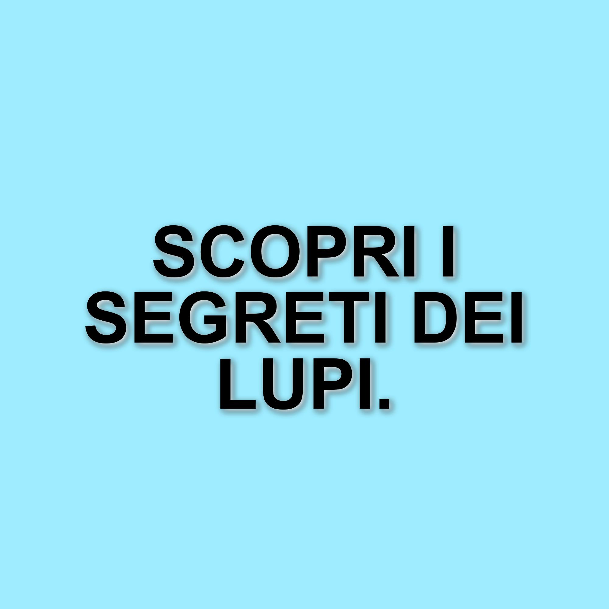 Il documentario "In marcia coi lupi" arriva nelle sale italiane: un viaggio tra natura e avventura