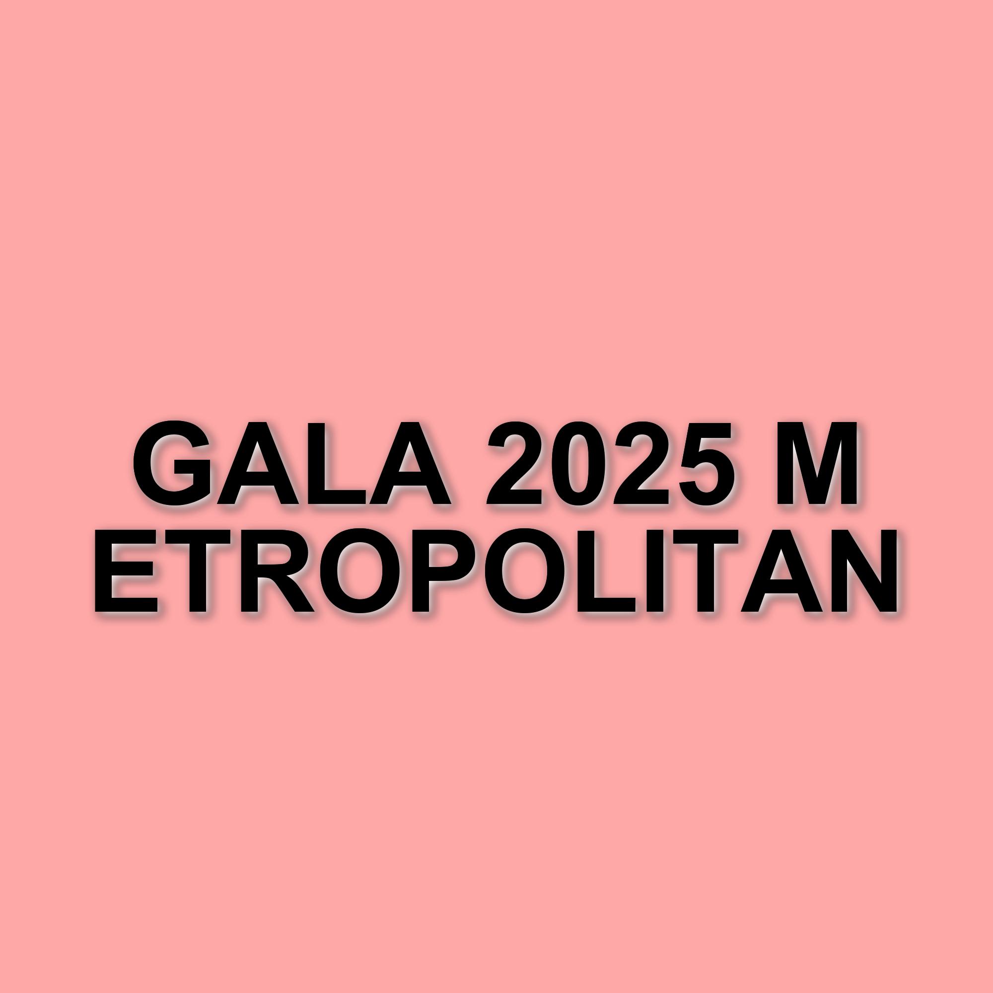 Met Gala 2025: Celebrità e Stile sul Red Carpet del Metropolitan Museum di New York