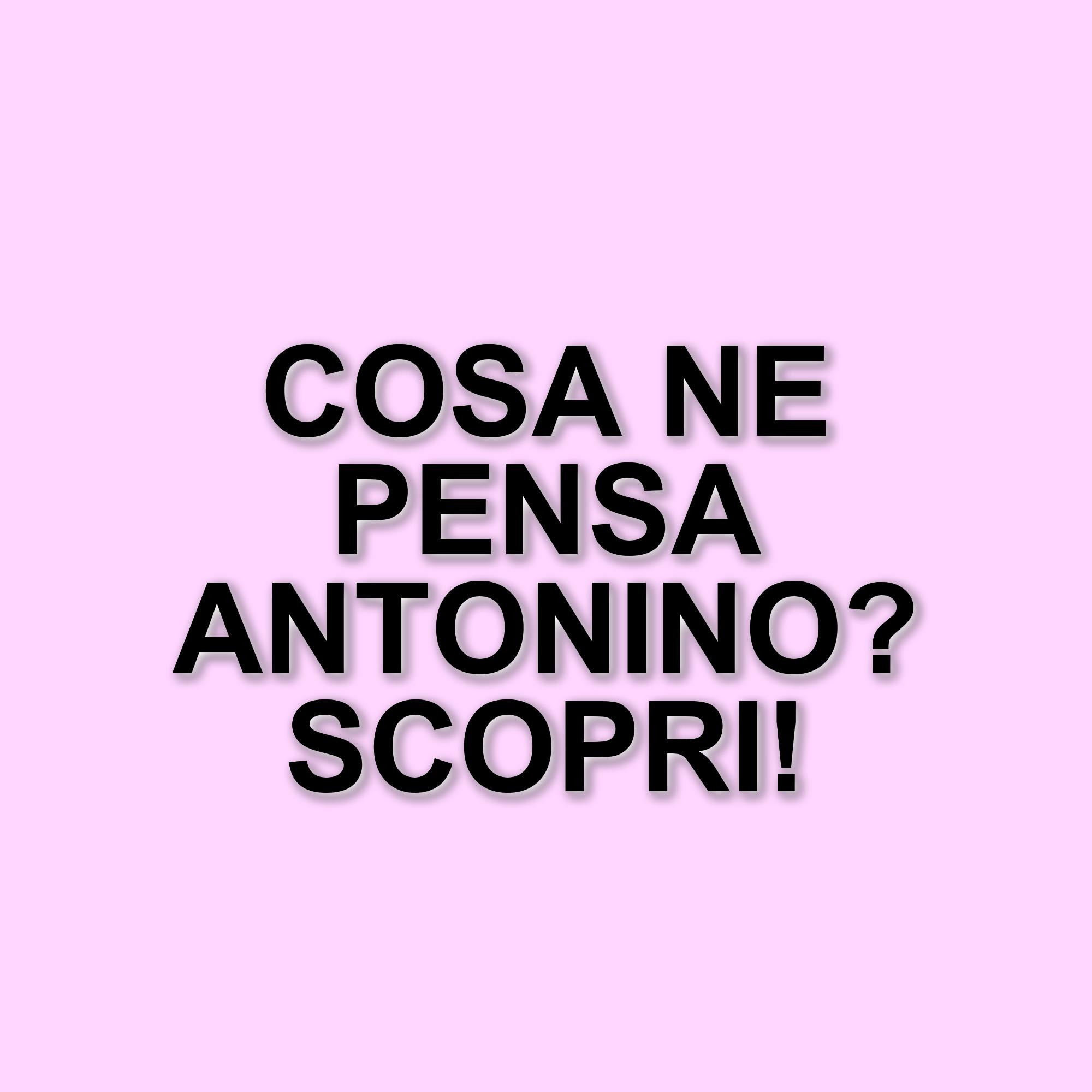 La chiusura anticipata di The Couple: Antonino Spinalbese commenta la fine del reality