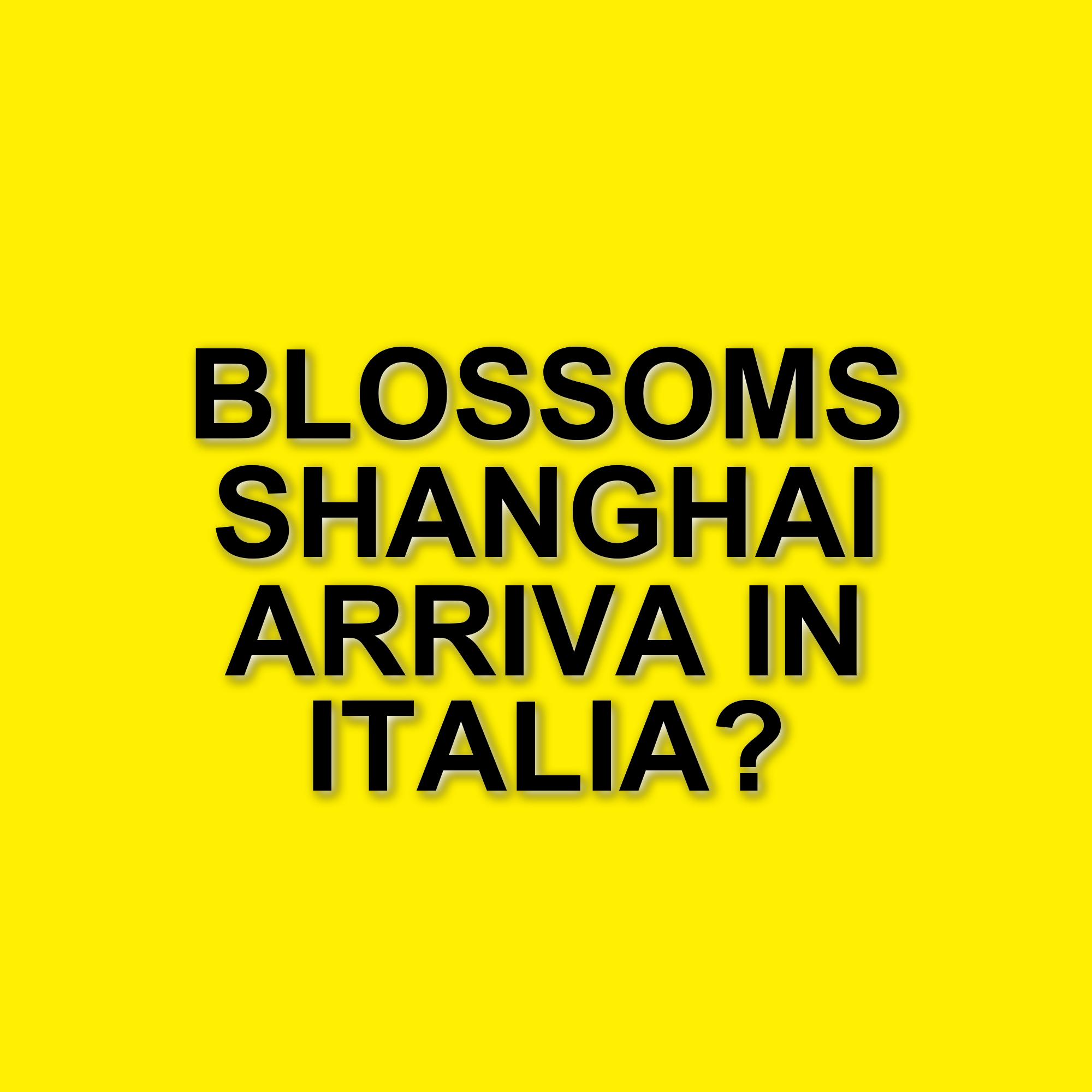 Blossoms Shanghai: la serie di Wong Kar-Wai arriva su Mubi per il mercato internazionale