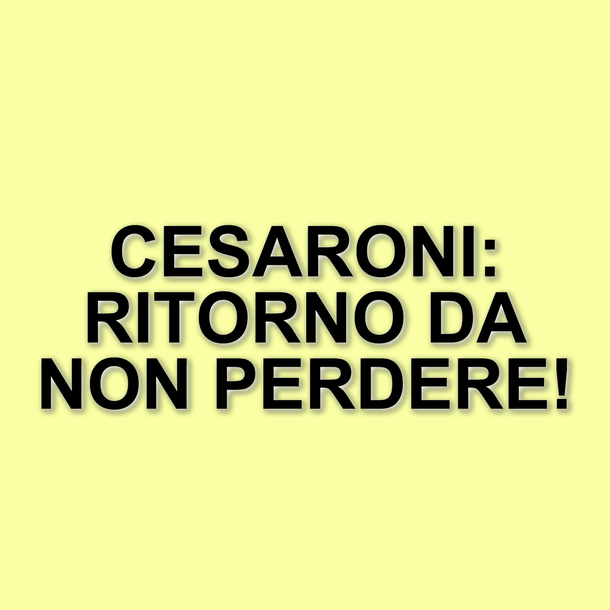 I Cesaroni 7: la nuova stagione si arricchisce di volti noti e sorprese inaspettate