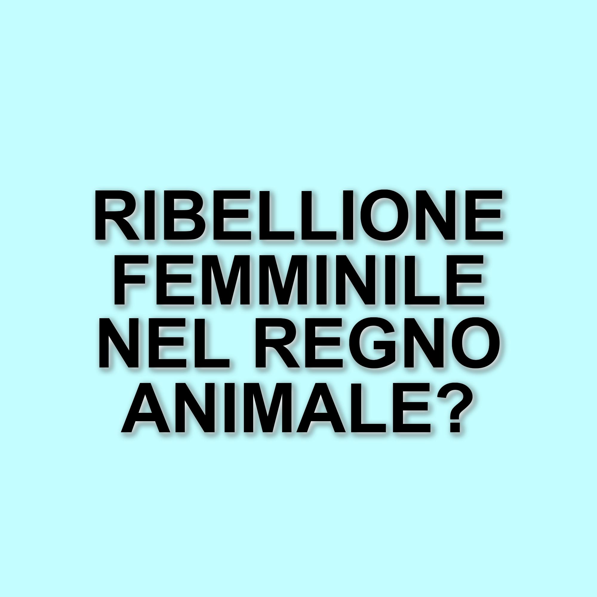 La sessualità animale: oltre gli stereotipi di genere nel regno animale