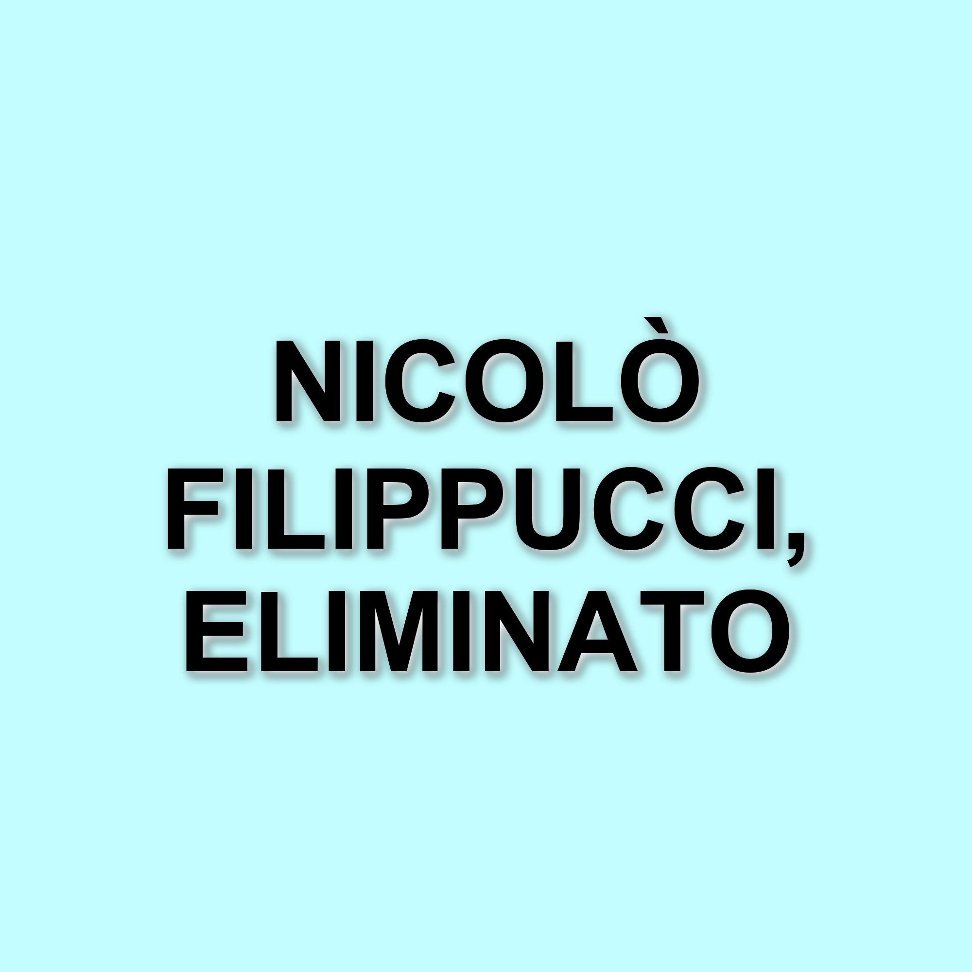 Nicolò Filippucci commenta l'eliminazione da Amici 24 e celebra la vittoria di TrigNO