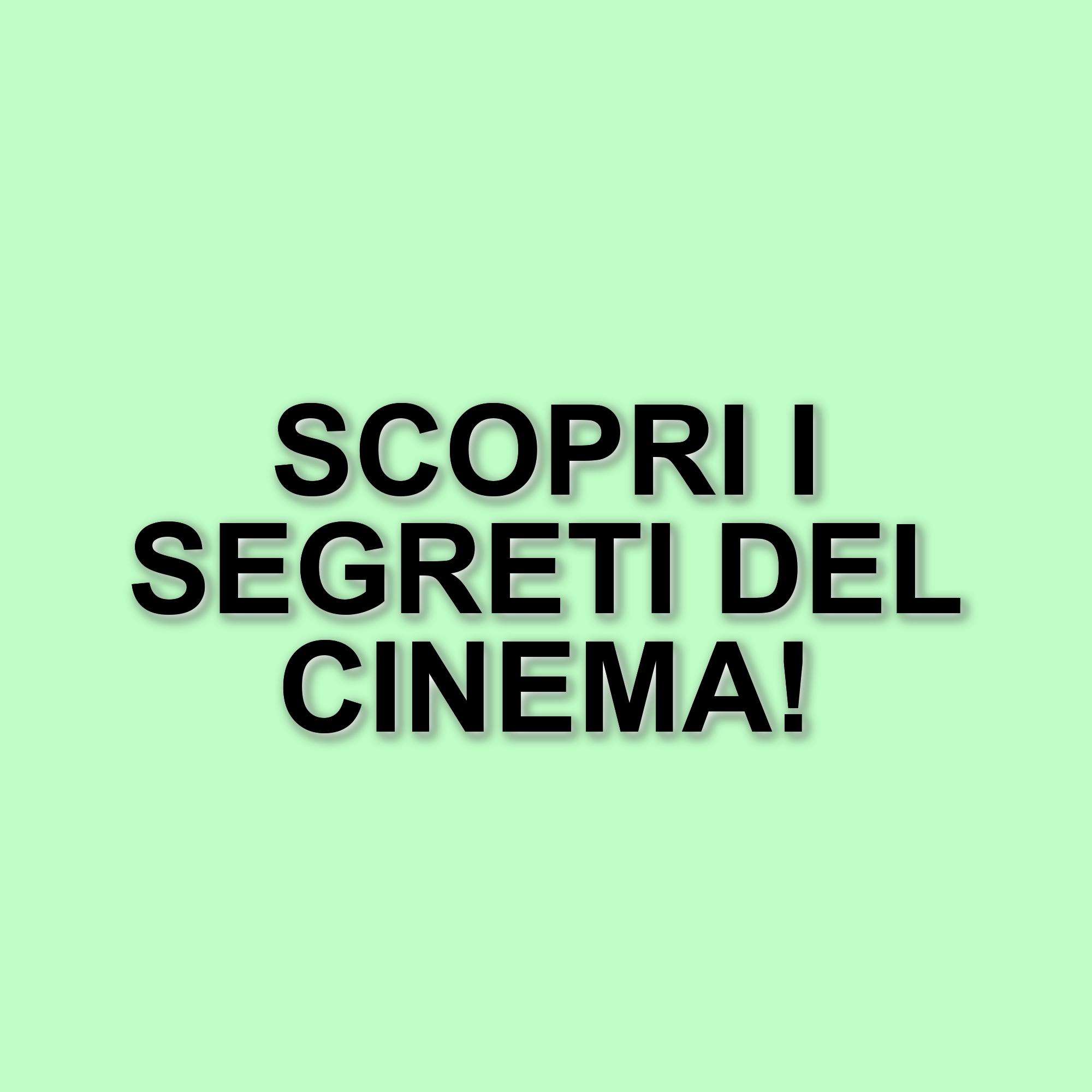 Pierluigi Manzo presenta il suo libro al RIFF: un manuale per aspiranti press agent