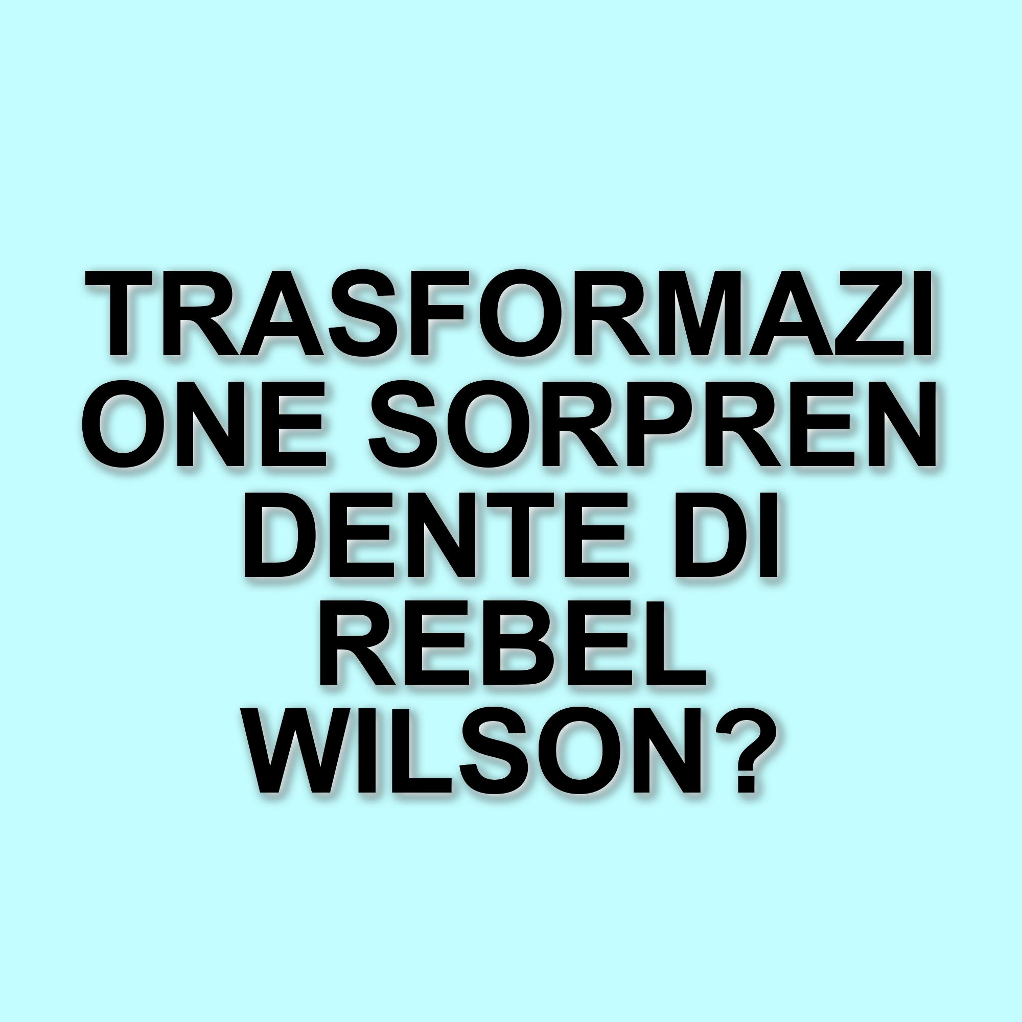 Rebel Wilson: come la perdita di peso ha trasformato la sua carriera e l'immagine pubblica
