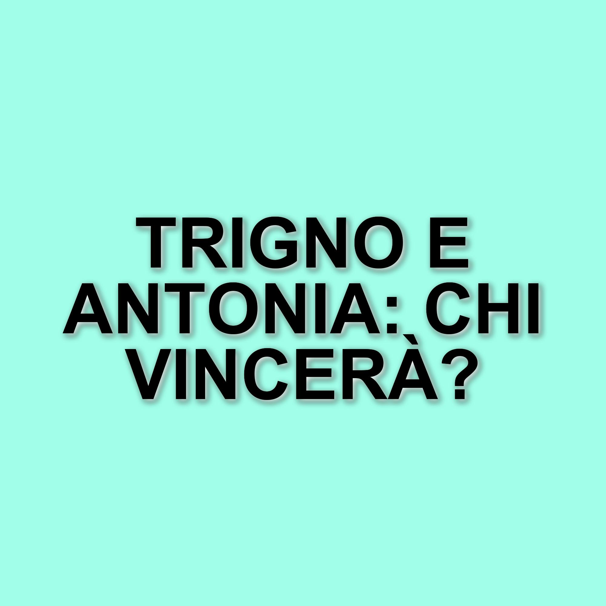 Amici: Trigno e Antonia Accedono alla Finale, Nicolò Eliminato nella Semifinale