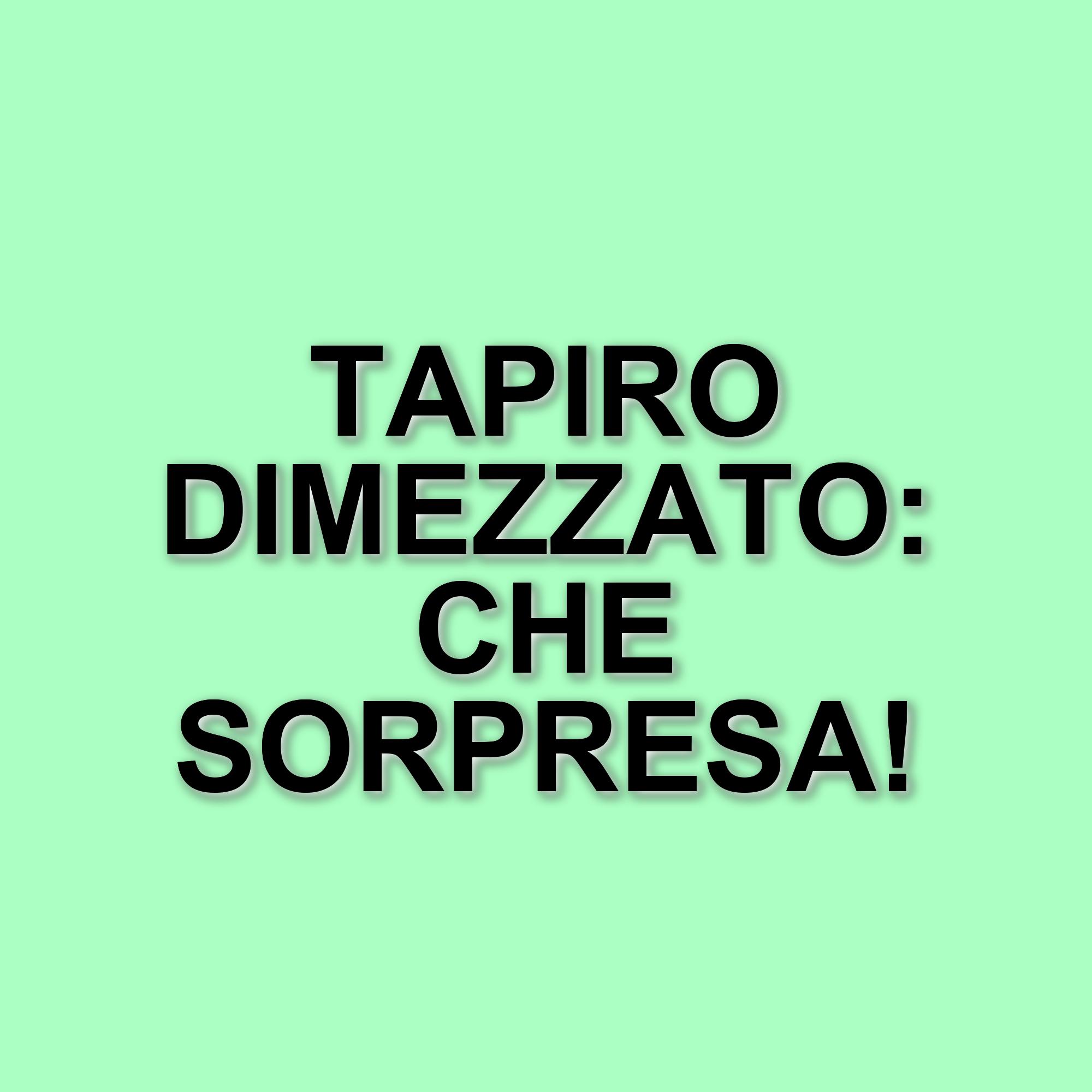 Valerio Staffelli consegna un Tapiro D'Oro "dimezzato" a Veronica Gentili per i ritiri all'Isola dei Famosi