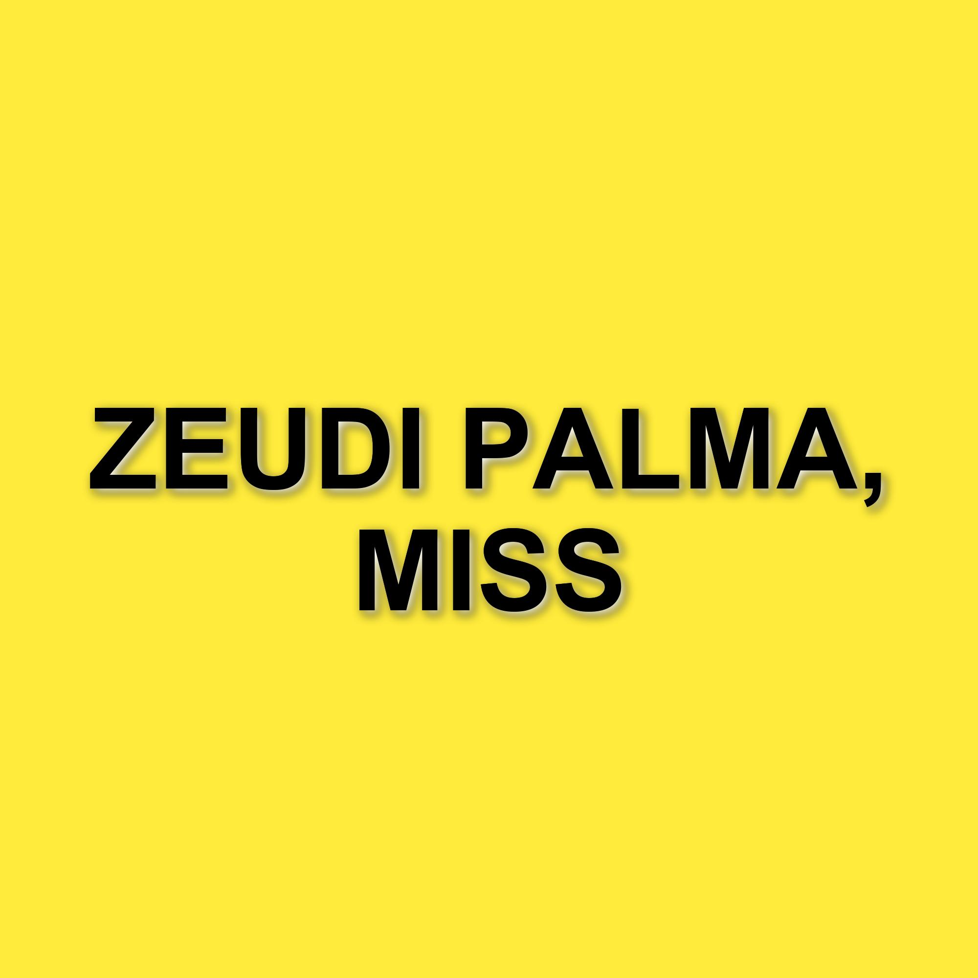 Zeudi Di Palma al centro delle polemiche: il raduno a Roma e le critiche sui prezzi dei biglietti