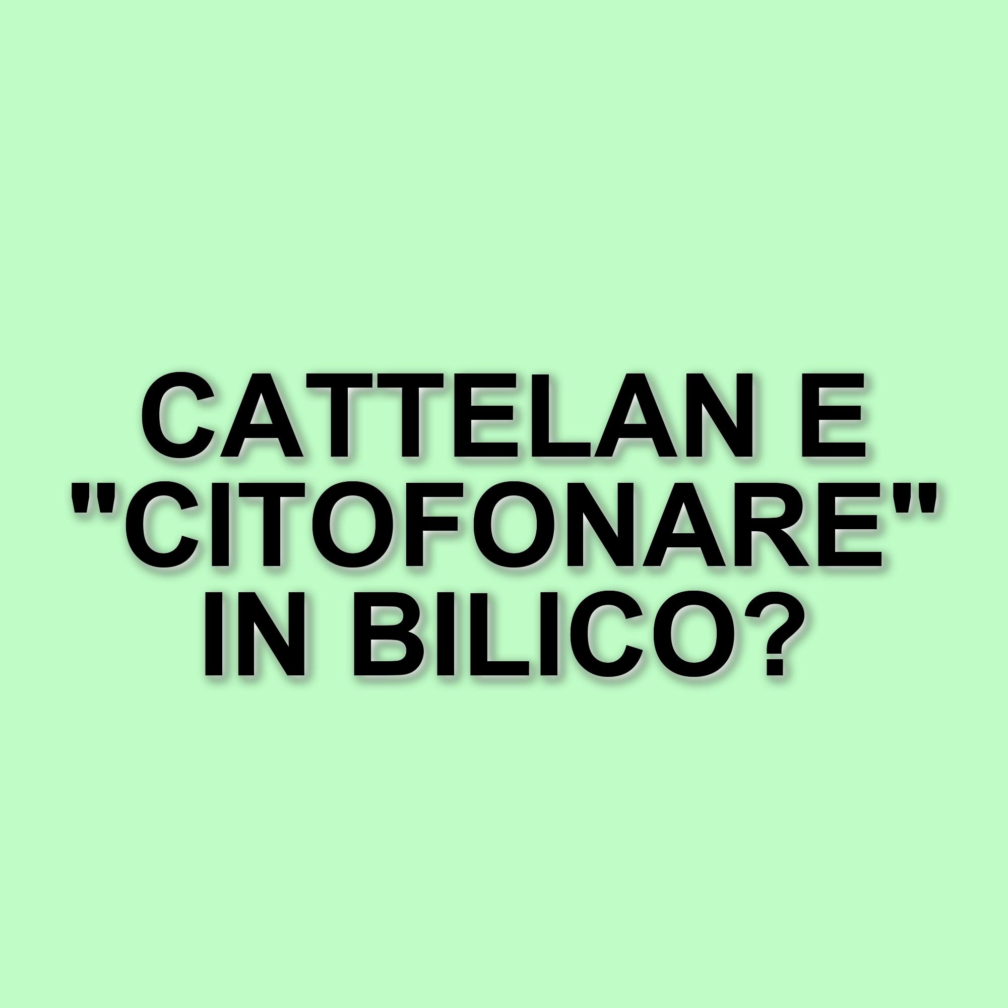 Assenze significative nei palinsesti Rai 2025-26: Citofonare Rai2 e Alessandro Cattelan non ci saranno