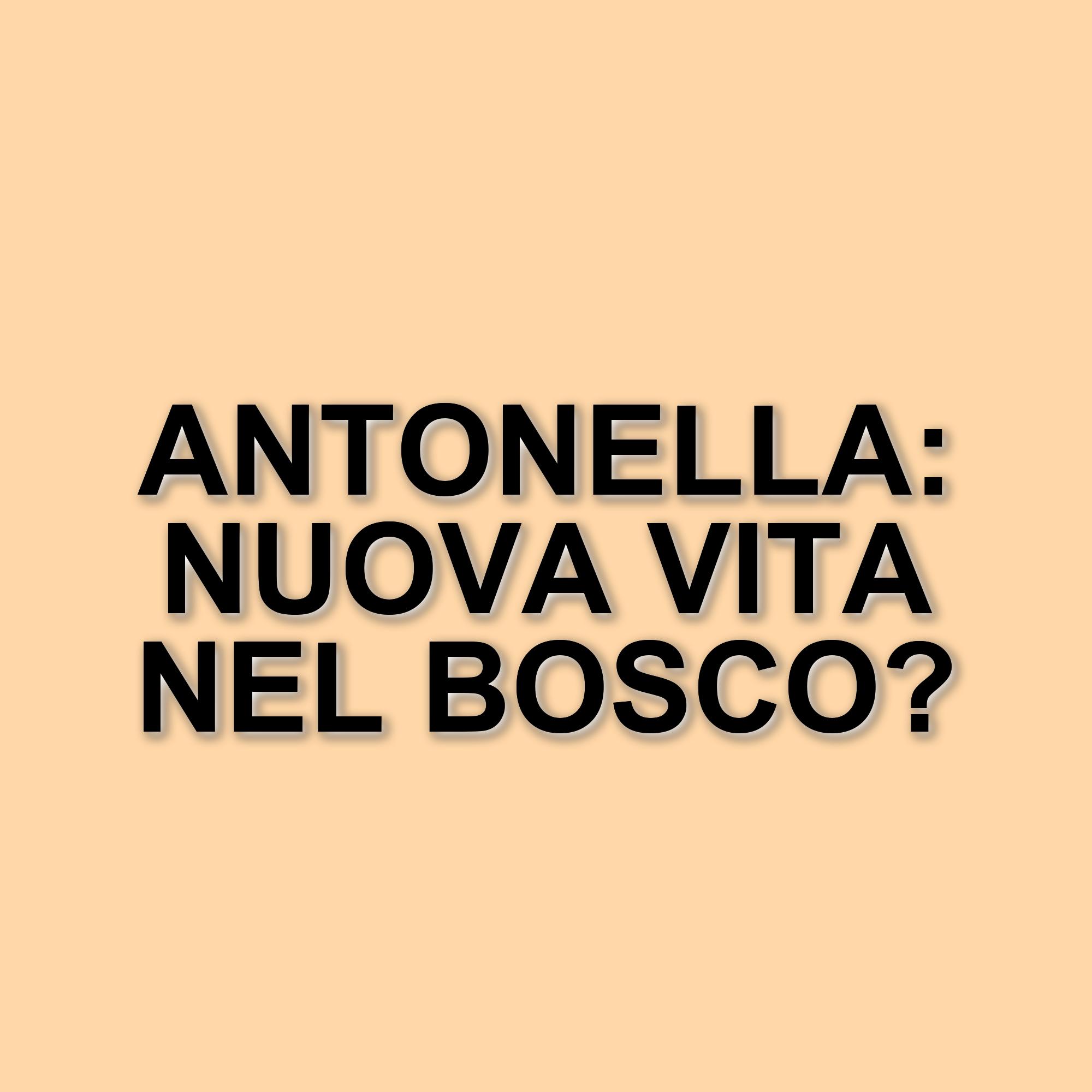 Antonella Clerici: quarant'anni di carriera e una vita rinnovata tra dolore e rinascita