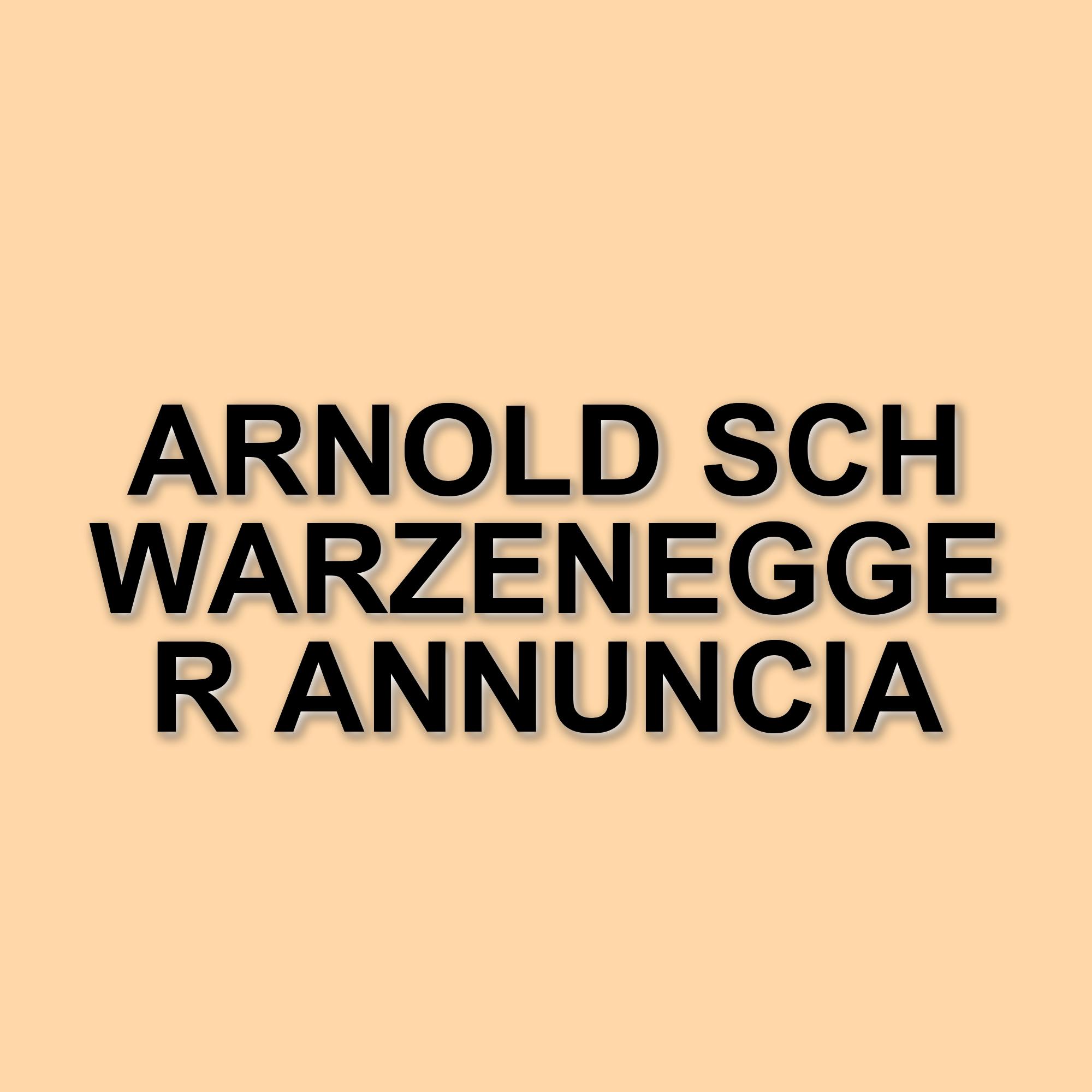 Arnold Schwarzenegger sogna il ritorno di Conan e I gemelli: i progetti futuri dell'attore