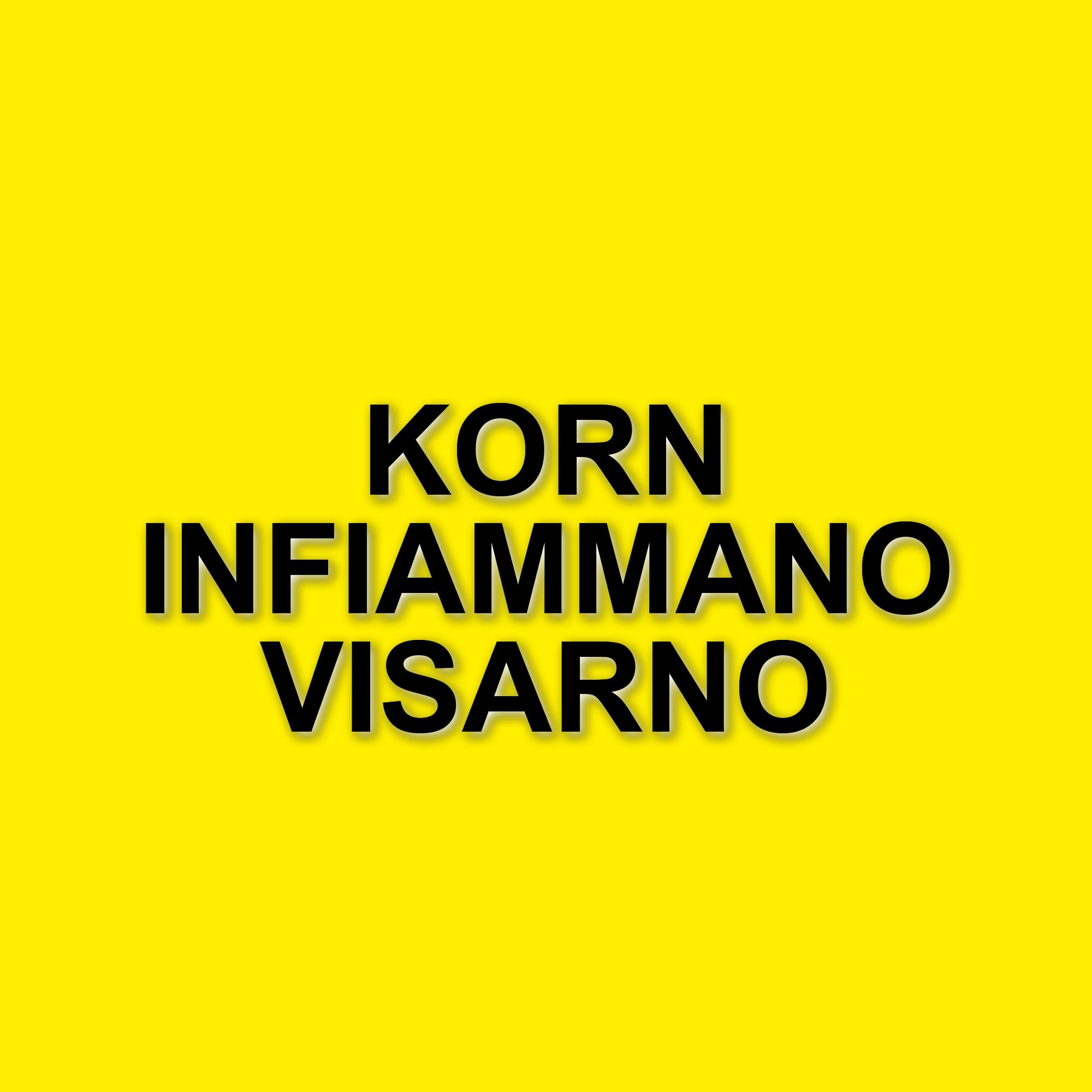 I Korn infiammano la Visarno Arena: un concerto che celebra 31 anni di nu metal