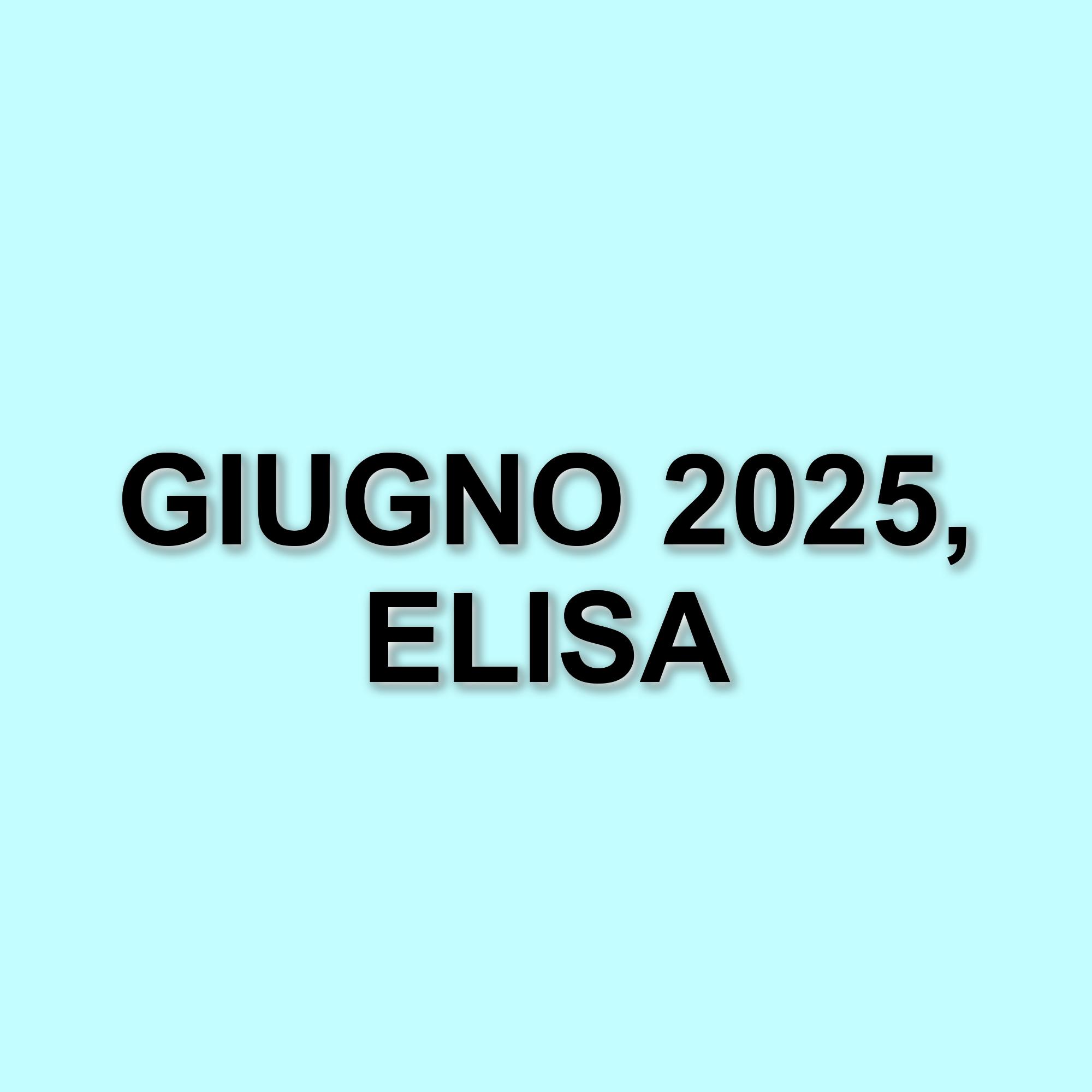 Elisa incanta San Siro: un concerto indimenticabile con ospiti d'eccezione