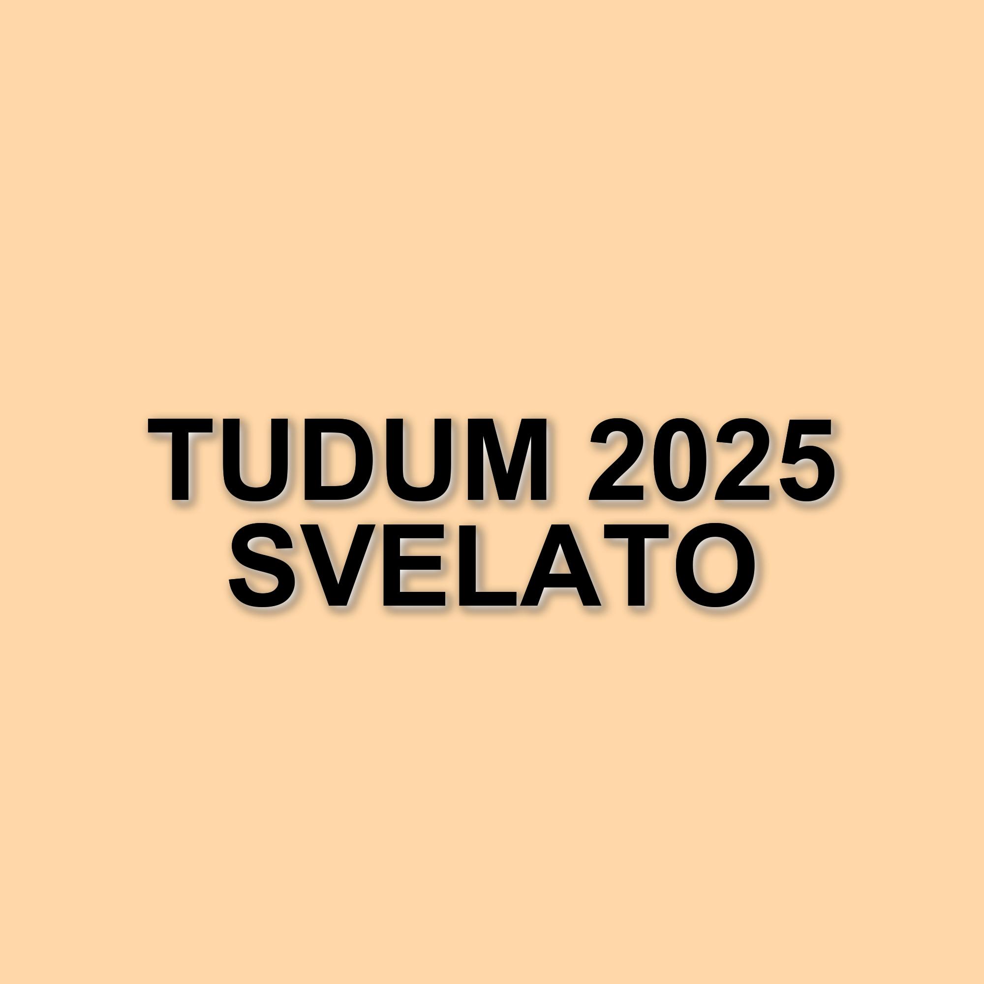 TUDUM 2025: Netflix svela dettagli su The RIP con Ben Affleck e Matt Damon