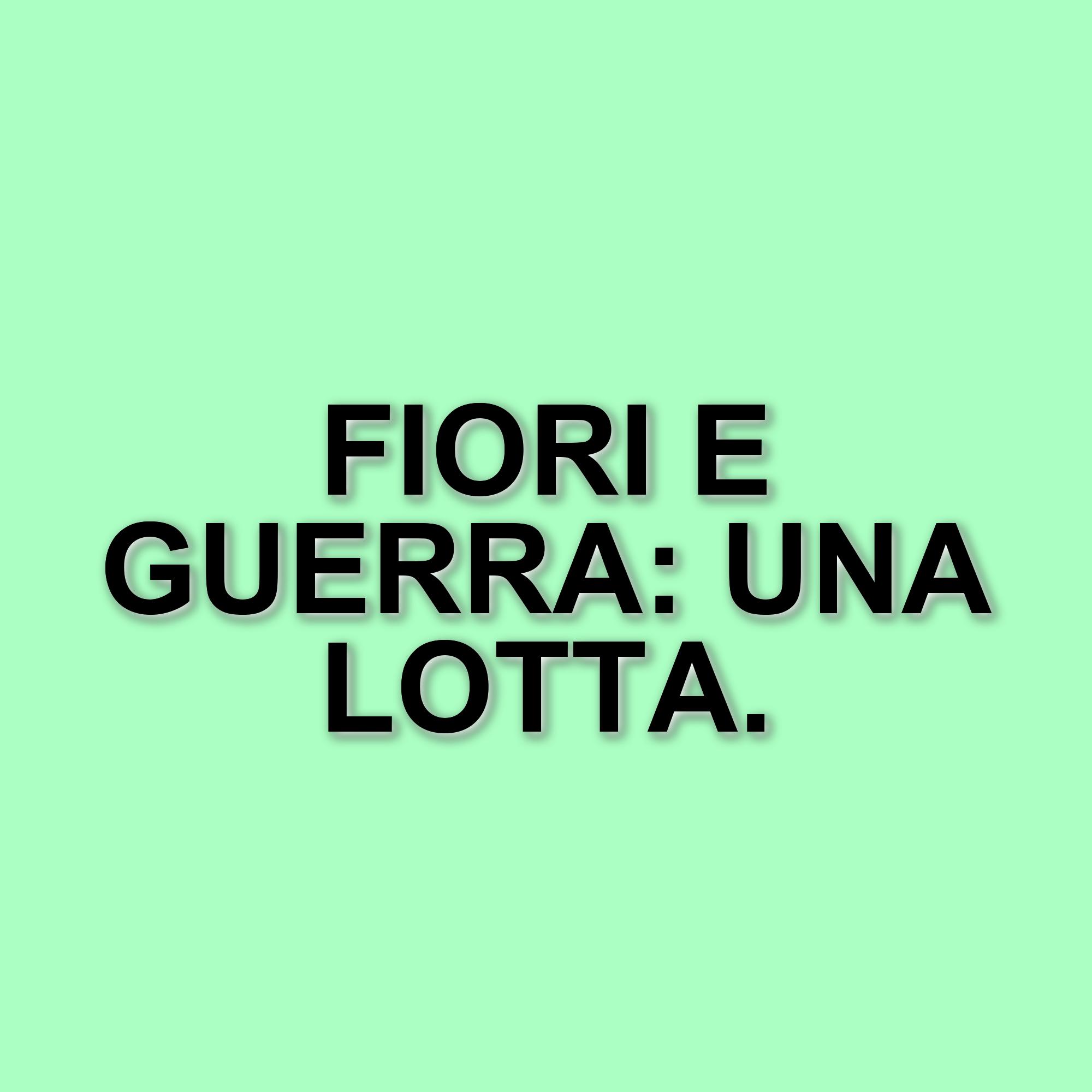 La vita di Anita: un racconto di lotta e speranza nel romanzo di Sara Gambazza