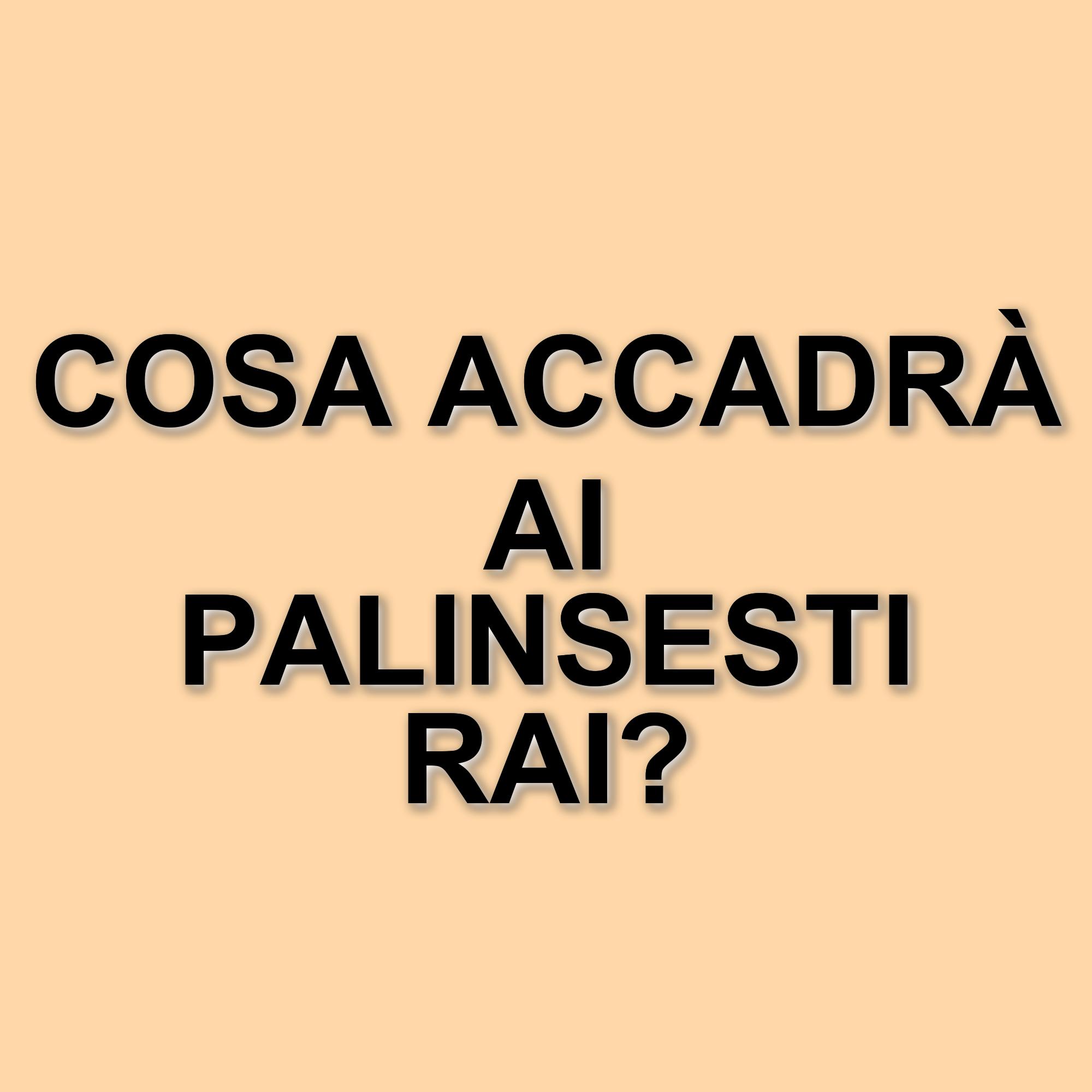 Riforma dei palinsesti Rai: Citofonare Rai2 e altri programmi a rischio riduzione