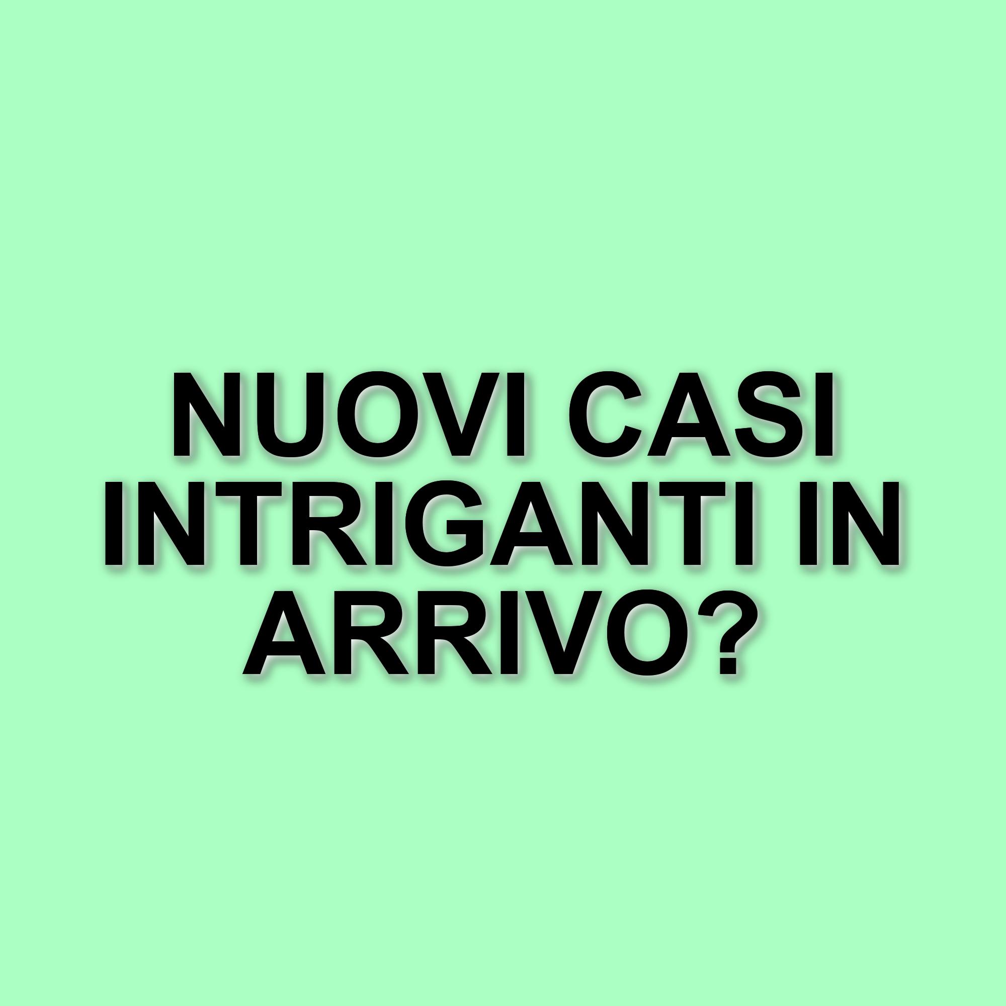 La seconda stagione di Elsbeth debutta su Rai2: nuovi episodi e colpi di scena in arrivo