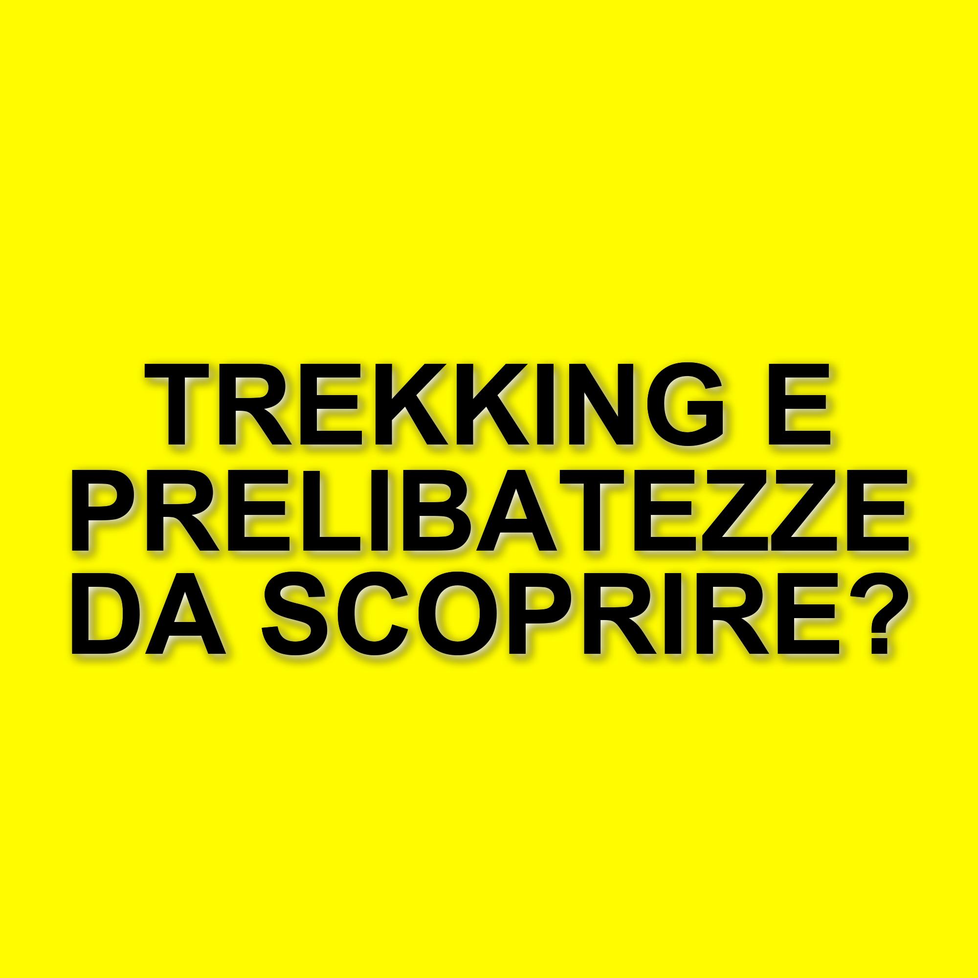 Il trekking malese di Money Road: tra sfide, tentazioni e colpi di scena