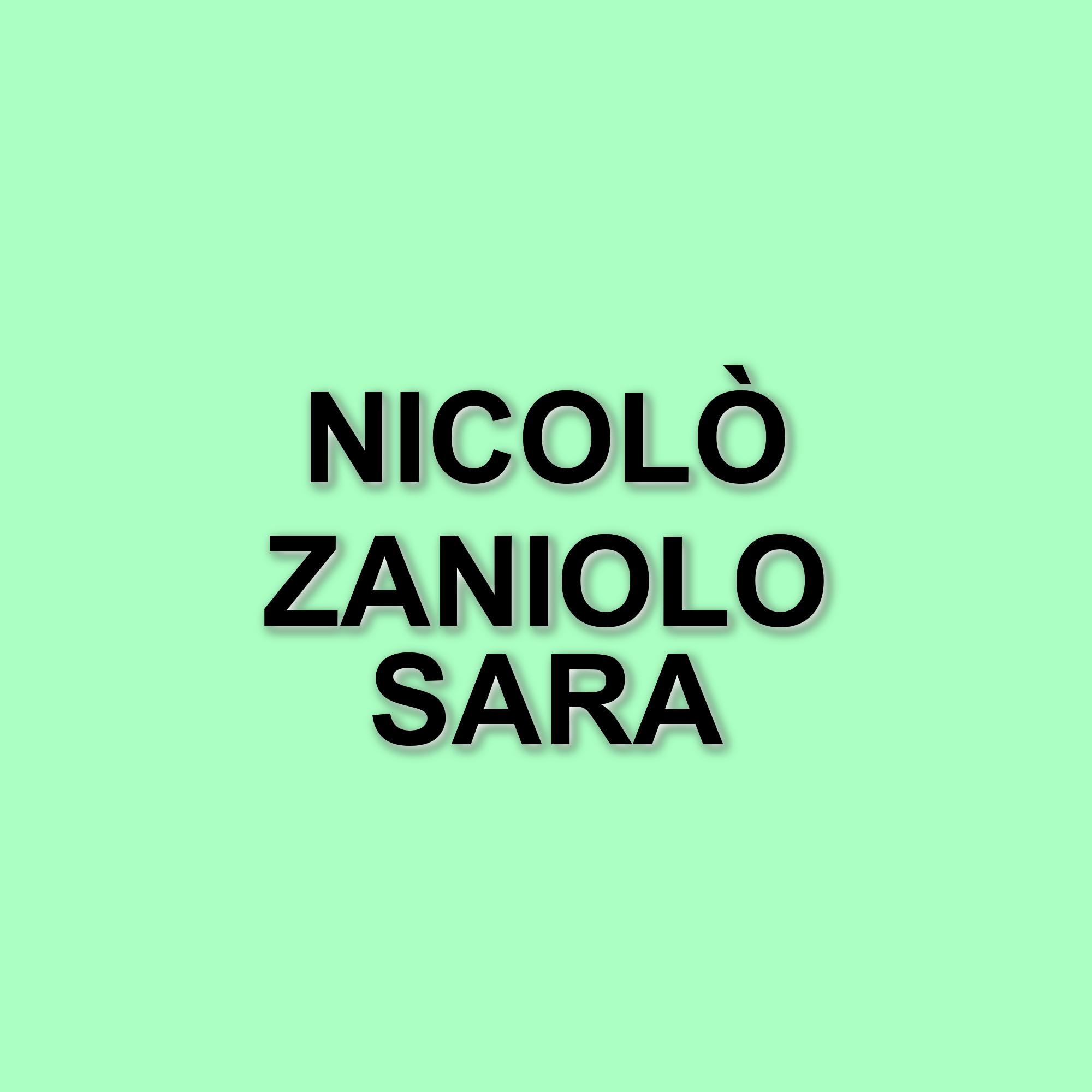 Nicolò Zaniolo e Sara Scaperrotta in attesa del secondo figlio: la proposta di matrimonio