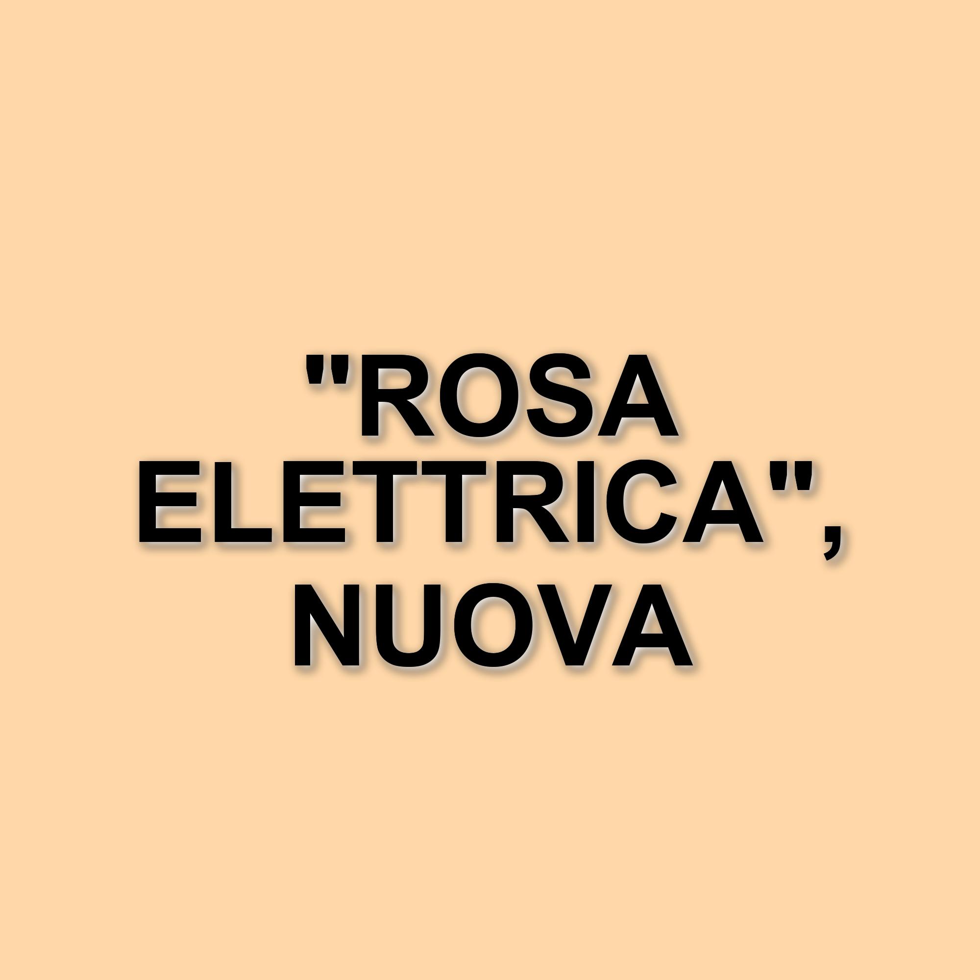 Rosa Elettrica: la nuova serie Sky con Maria Chiara Giannetta promette colpi di scena