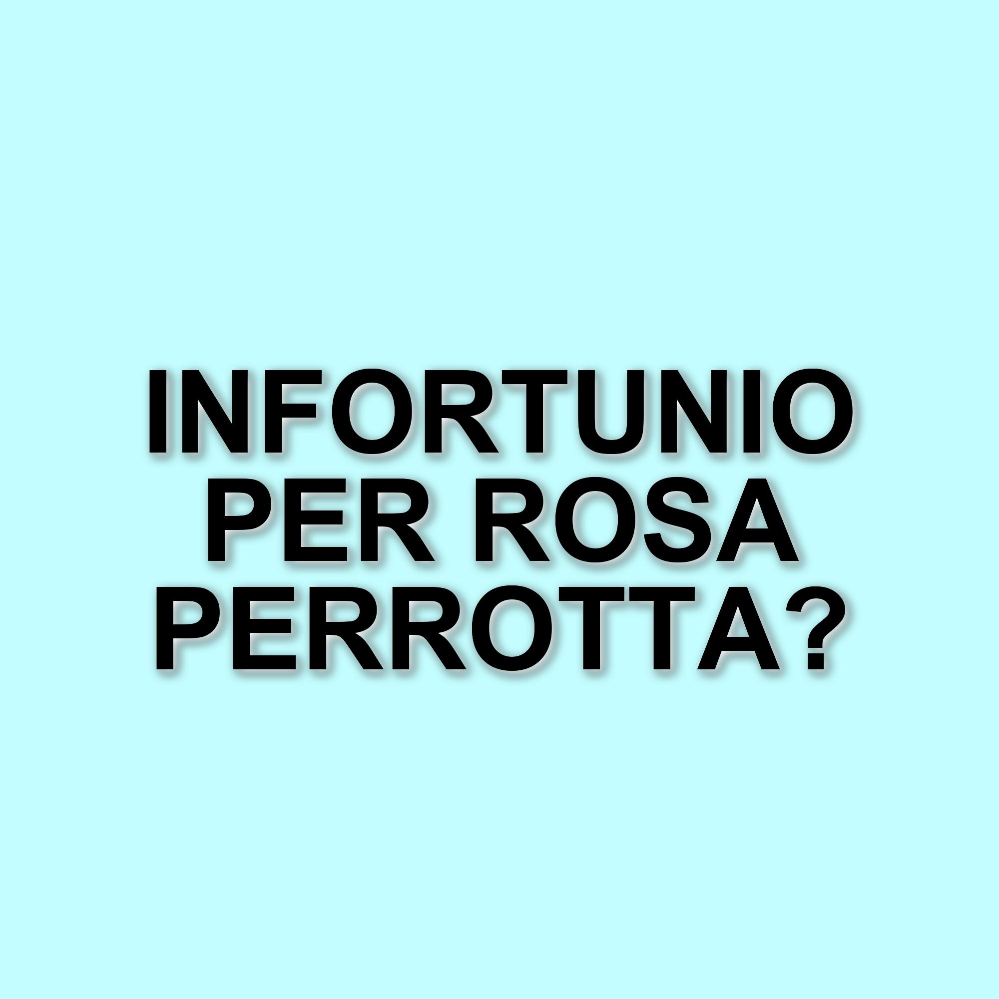 Rosa Perrotta infortunata: aggiornamenti sulla salute della nota ex corteggiatrice