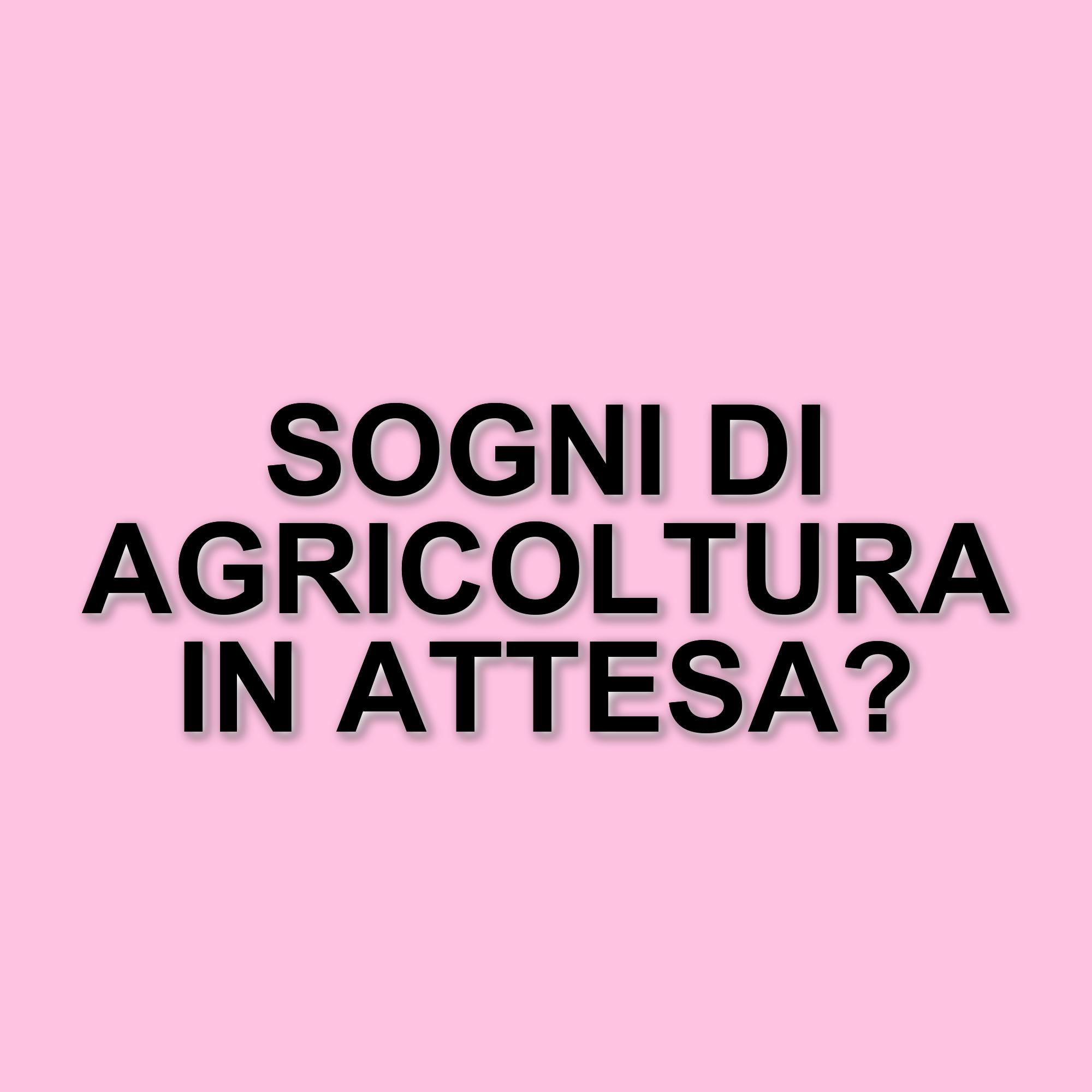 Affari tuoi: Simone e Valeria, una coppia marchigiana tra sogni e emozioni