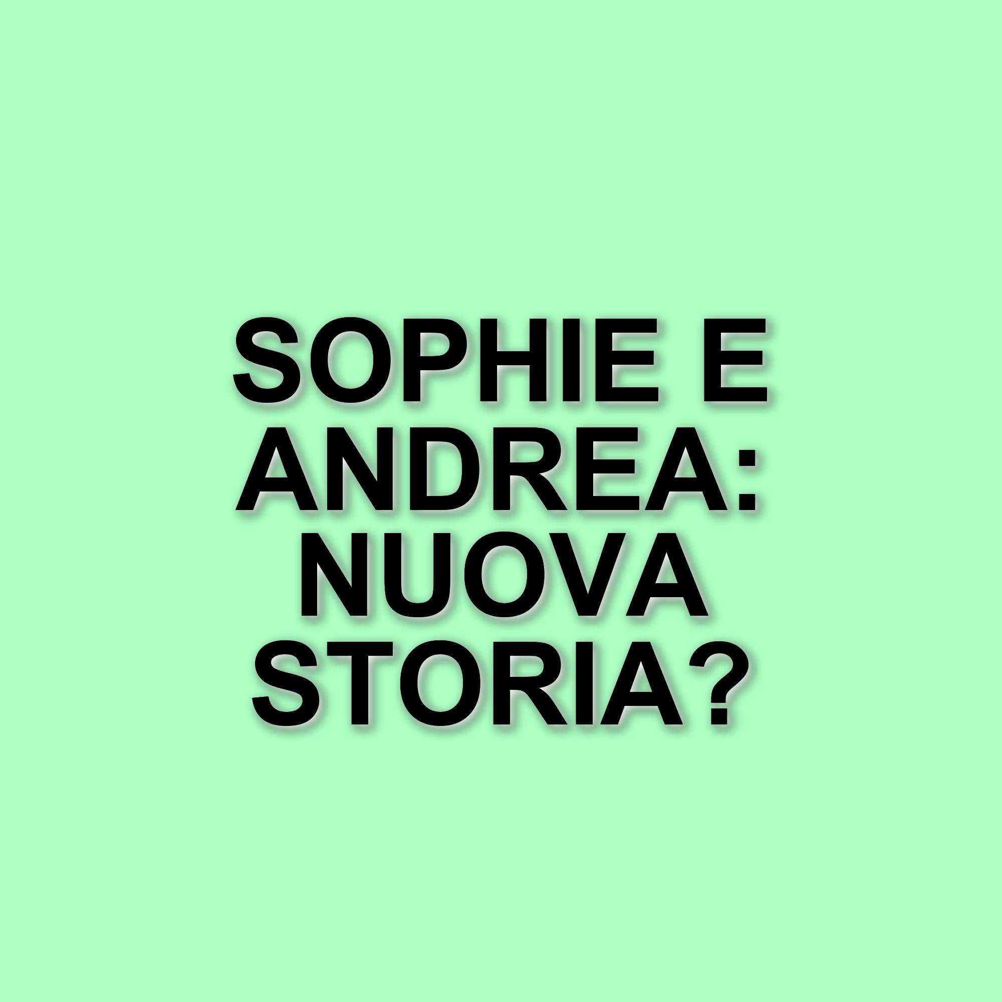 Sophie Codegoni e Andrea Petagna: il gossip su una presunta relazione