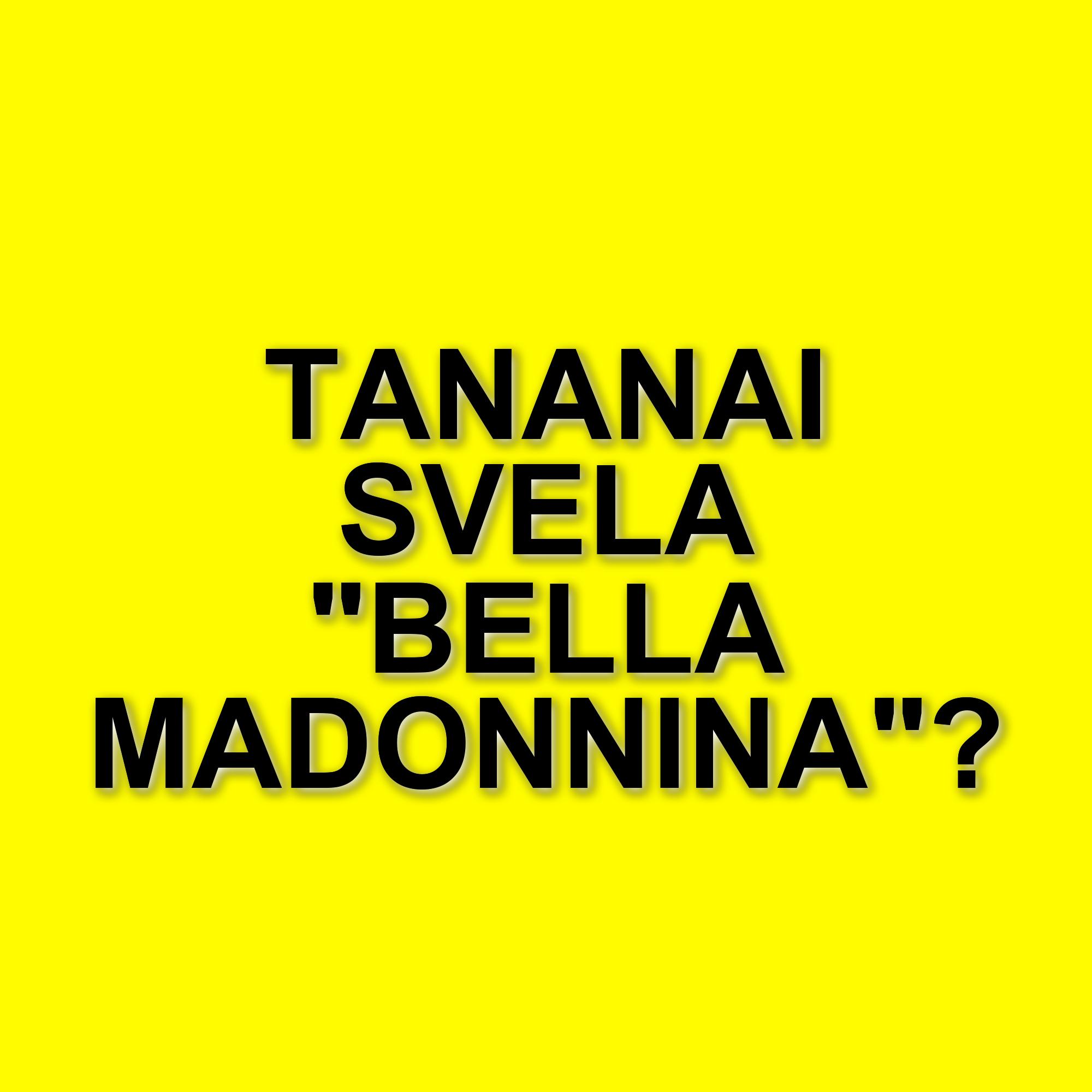 Tananai lancia "Bella Madonnina": il nuovo singolo per un'estate di musica e divertimento