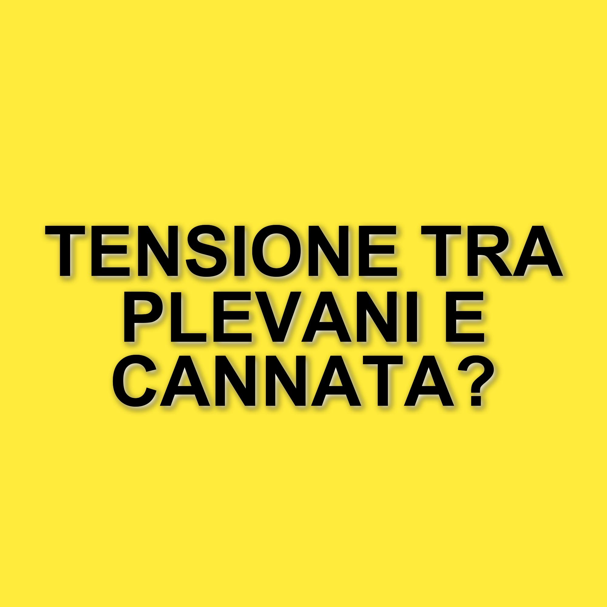 Conflitto tra Cristina Plevani e Loredana Cannata a L'Isola dei Famosi: tensioni e chiarimenti in diretta