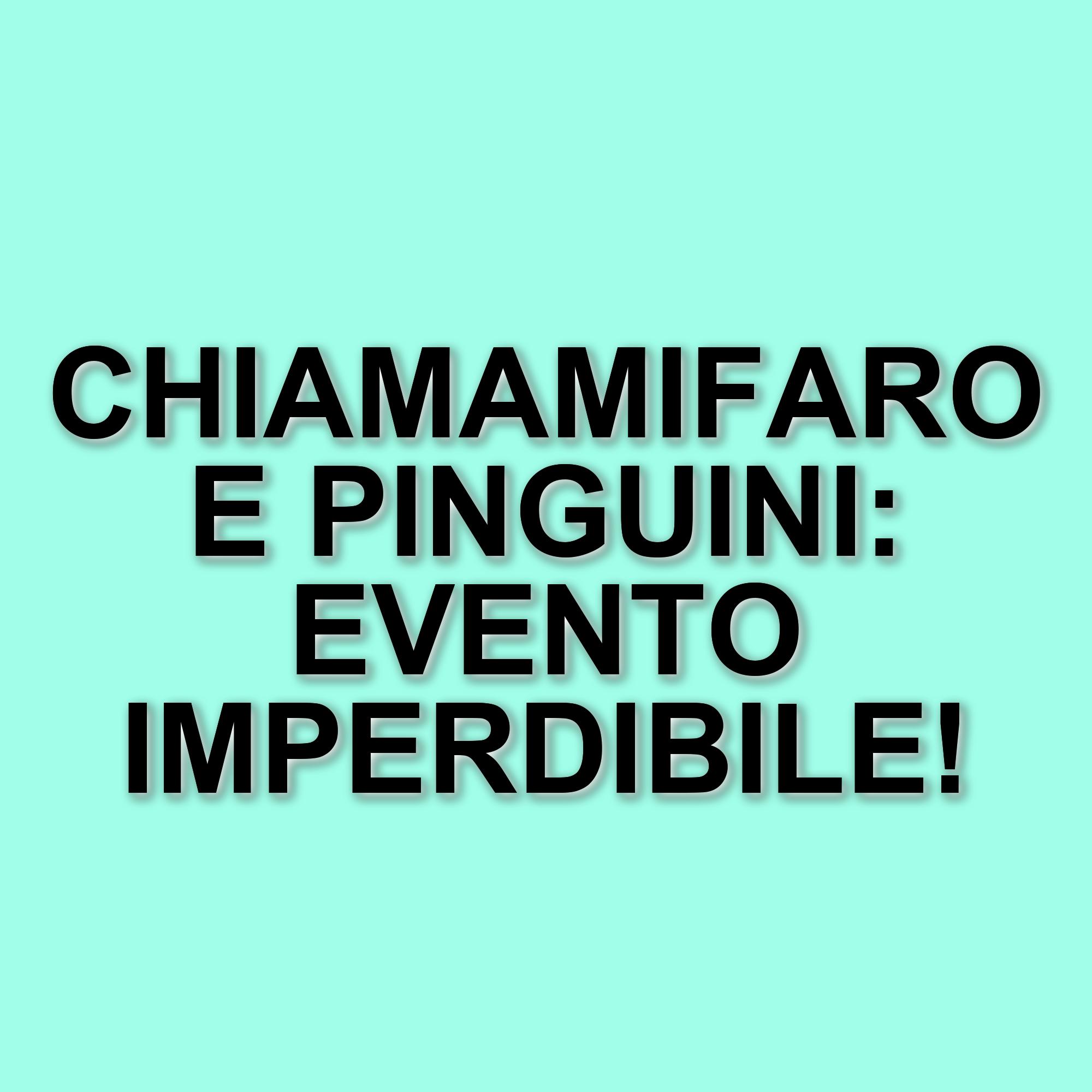 Amici: il percorso dei concorrenti e le novità di Nicolò e Chiamamifaro