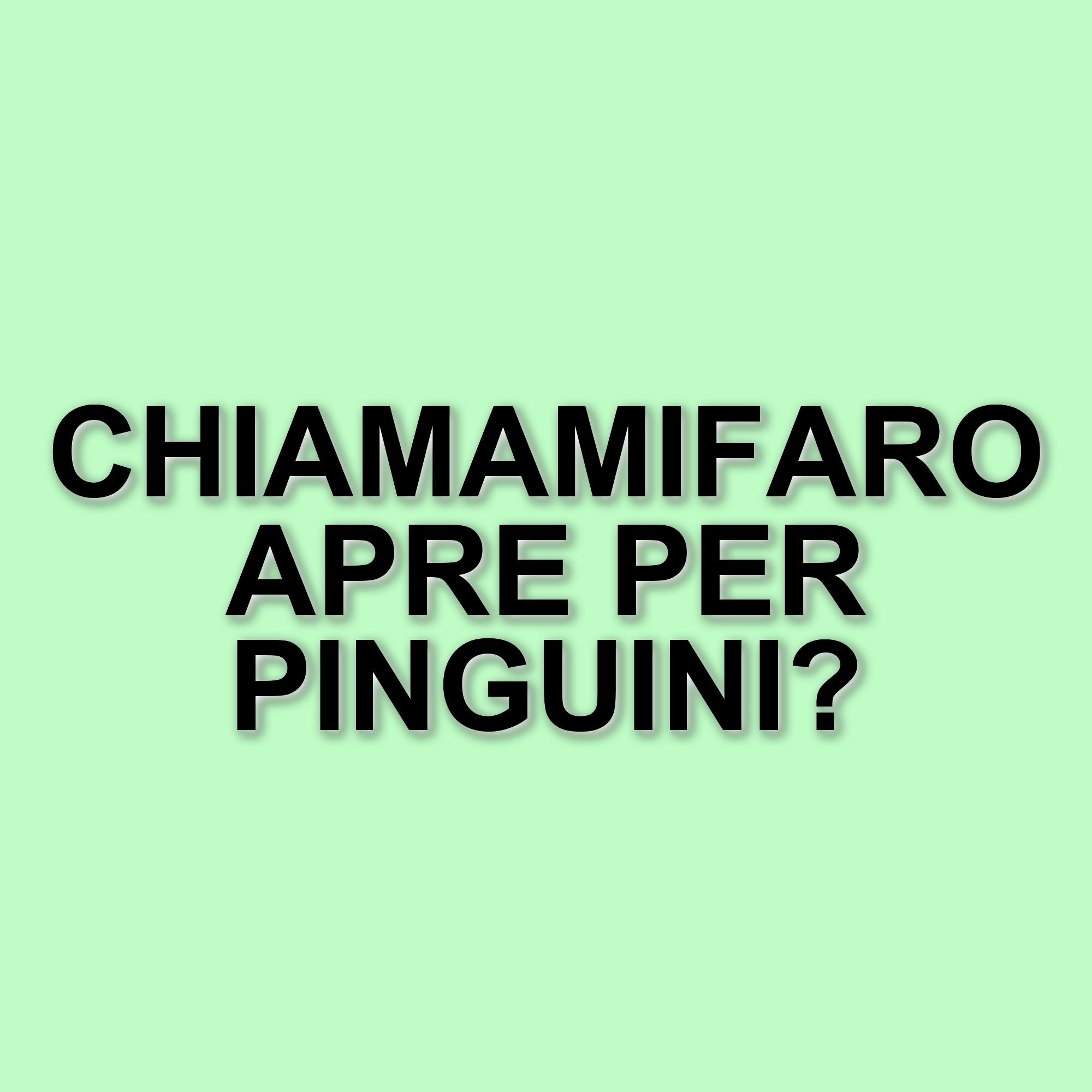 Chiamamifaro aprirà il concerto finale dei Pinguini Tattici Nucleari a Roma