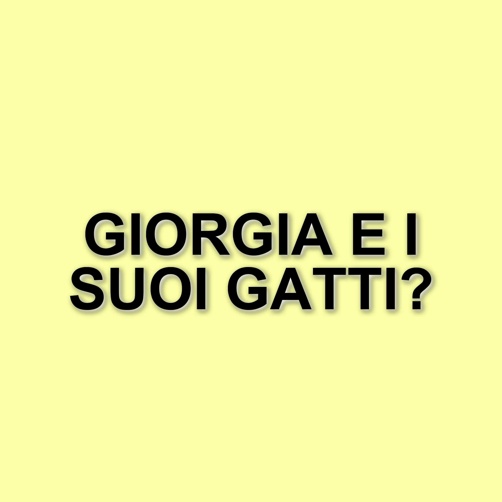 Giorgia condivide il suo rifugio domestico: un angolo di intimità tra gatti e relax